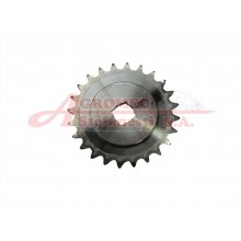 Pinion Z=24 G20900041R 